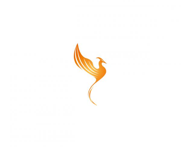 300x300