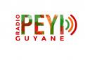 Logo design # 396854 for Radio Péyi Logotype contest