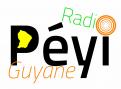 Logo # 399718 voor Radio Péyi Logotype wedstrijd