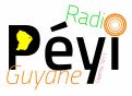 Logo design # 399722 for Radio Péyi Logotype contest