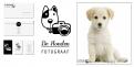 Logo design # 372760 for Dog photographer contest