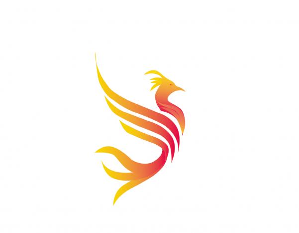 300x300