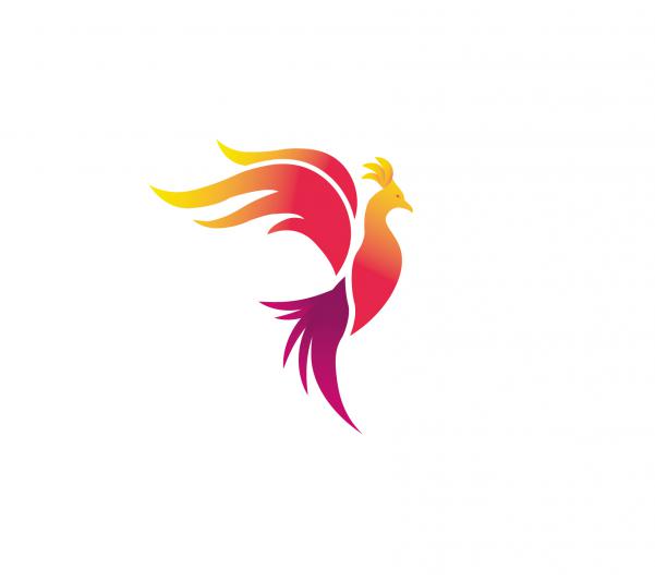 300x300