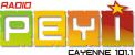Logo design # 397995 for Radio Péyi Logotype contest