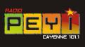 Logo design # 397996 for Radio Péyi Logotype contest
