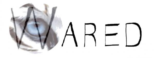 300x300