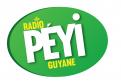 Logo # 402192 voor Radio Péyi Logotype wedstrijd