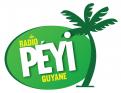 Logo # 402193 voor Radio Péyi Logotype wedstrijd