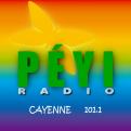 Logo design # 398691 for Radio Péyi Logotype contest