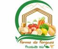 Logo design # 564043 for Logo pour légumes de ferme contest