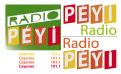 Logo design # 398574 for Radio Péyi Logotype contest