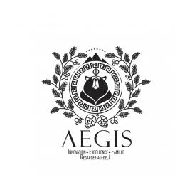 Logo design # 972544 for Logo for AEGIS  holding company  contest