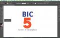 Logo # 876480 voor BIC 5: Business, IT en Compliance professionals zoeken een onderscheidend logo. wedstrijd