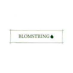 Logo design # 1077941 for Looking for a logo design for Blomstring  a new webshop for premium quality flower bulbs contest