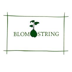 Logo # 1077570 voor Logo gezocht voor Blomstring  een nieuwe webshop voor de mooiste bloembollen wedstrijd
