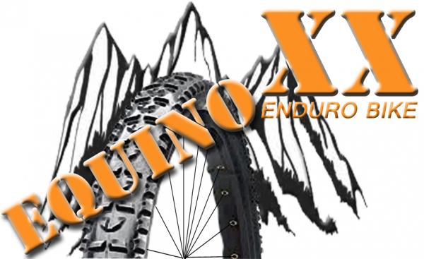 300x300