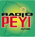 Logo # 401995 voor Radio Péyi Logotype wedstrijd