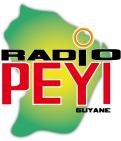 Logo design # 401996 for Radio Péyi Logotype contest