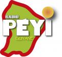 Logo # 402436 voor Radio Péyi Logotype wedstrijd