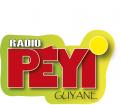 Logo design # 402138 for Radio Péyi Logotype contest