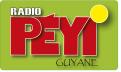 Logo design # 402139 for Radio Péyi Logotype contest