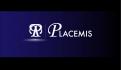 Logo design # 566551 for PLACEMIS contest