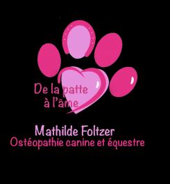 Logo design # 1290358 for Creation of a logo of osteopathy cabinet for animals From paw to soul contest