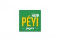 Logo design # 399195 for Radio Péyi Logotype contest
