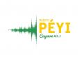Logo # 399528 voor Radio Péyi Logotype wedstrijd