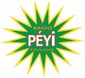 Logo design # 398419 for Radio Péyi Logotype contest