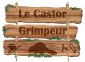 Logo design # 336407 for Entreprise Le Castor Grimpeur contest