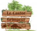 Logo design # 338315 for Entreprise Le Castor Grimpeur contest