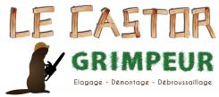 Logo design # 337621 for Entreprise Le Castor Grimpeur contest