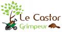 Logo design # 335518 for Entreprise Le Castor Grimpeur contest