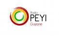 Logo design # 397667 for Radio Péyi Logotype contest
