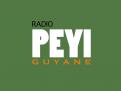 Logo # 402100 voor Radio Péyi Logotype wedstrijd