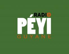 Logo # 402103 voor Radio Péyi Logotype wedstrijd