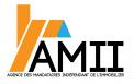 Logo design # 814743 for  AMII : Agence des Mandataire Indépendant Immobilier contest