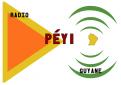 Logo # 402142 voor Radio Péyi Logotype wedstrijd