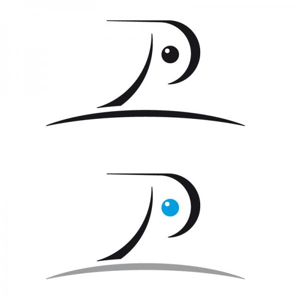 300x300