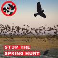 Logo design # 831985 for Traffic sign and banner against Spring Hunting contest