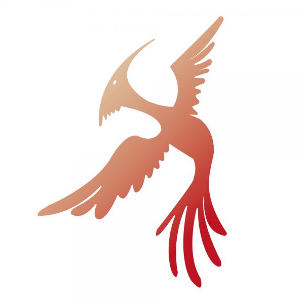 300x300