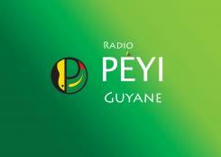 Logo design # 402330 for Radio Péyi Logotype contest