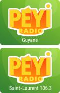 Logo # 399468 voor Radio Péyi Logotype wedstrijd