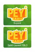 Logo design # 399471 for Radio Péyi Logotype contest