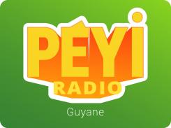 Logo # 398395 voor Radio Péyi Logotype wedstrijd
