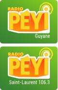 Logo design # 399499 for Radio Péyi Logotype contest