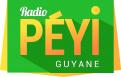 Logo design # 399505 for Radio Péyi Logotype contest