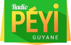 Logo design # 399505 for Radio Péyi Logotype contest