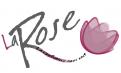 Logo design # 219789 for Logo Design for Online Store Fashion: LA ROSE contest